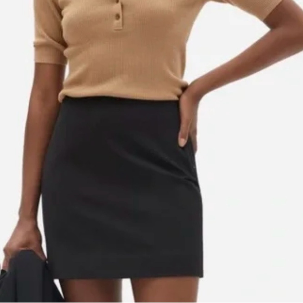 Everlane Black Mini Skirt